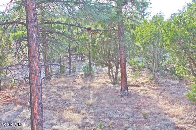 3321 Lodgepole Road Overgaard, AZ 85933 - Photo 34 of 52