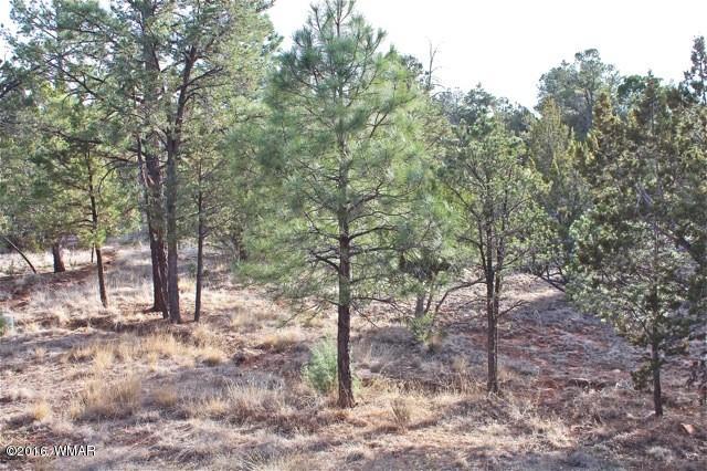 3321 Lodgepole Road Overgaard, AZ 85933 - Photo 35 of 52