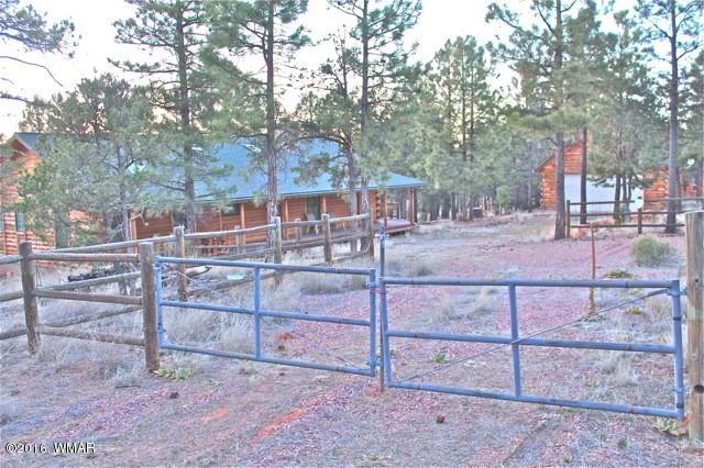 3321 Lodgepole Road Overgaard, AZ 85933 - Photo 39 of 52