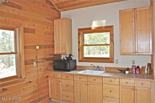 3321 Lodgepole Road Overgaard, AZ 85933 - Photo 45 of 52