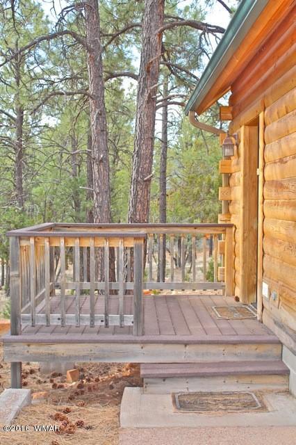 3321 Lodgepole Road Overgaard, AZ 85933 - Photo 50 of 52