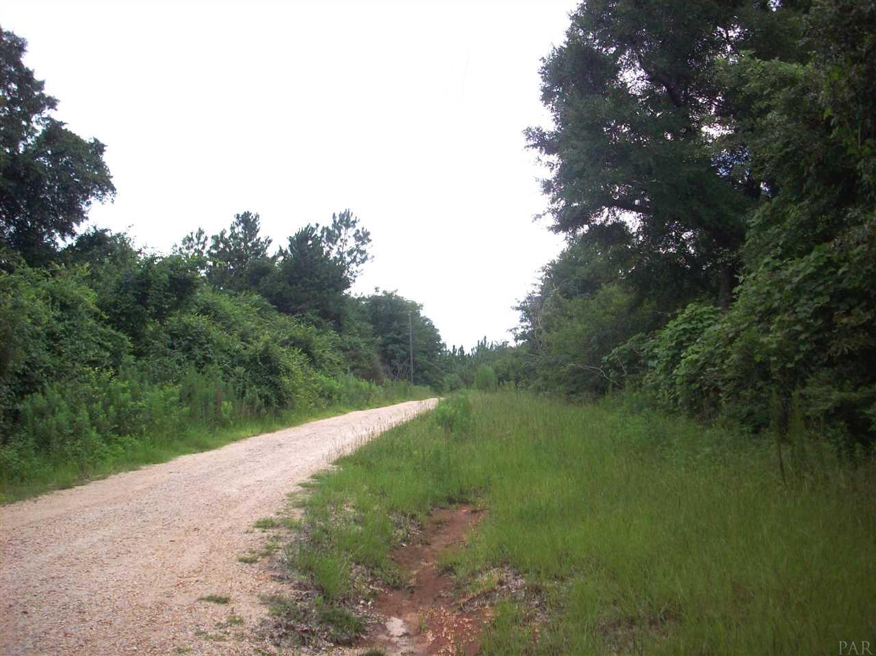 100-block 100-block Rabbits Run Atmore, AL 36502 - Photo 1 of 8