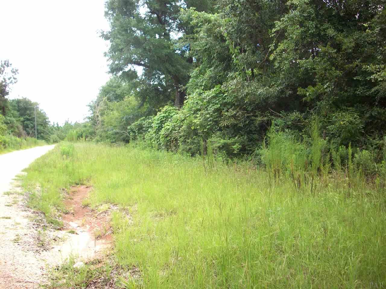100-block 100-block Rabbits Run Atmore, AL 36502 - Photo 2 of 8