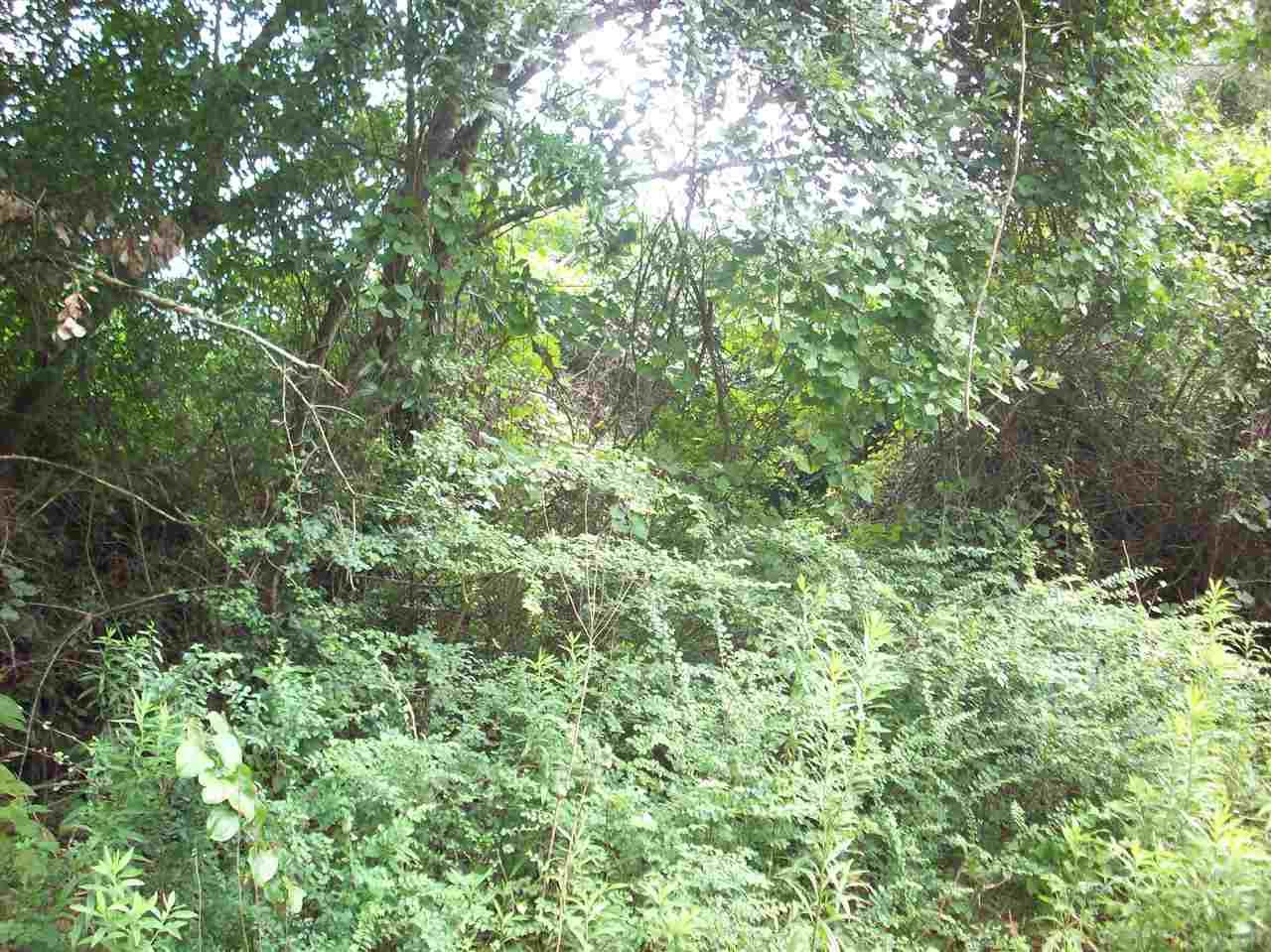 100-block 100-block Rabbits Run Atmore, AL 36502 - Photo 3 of 8