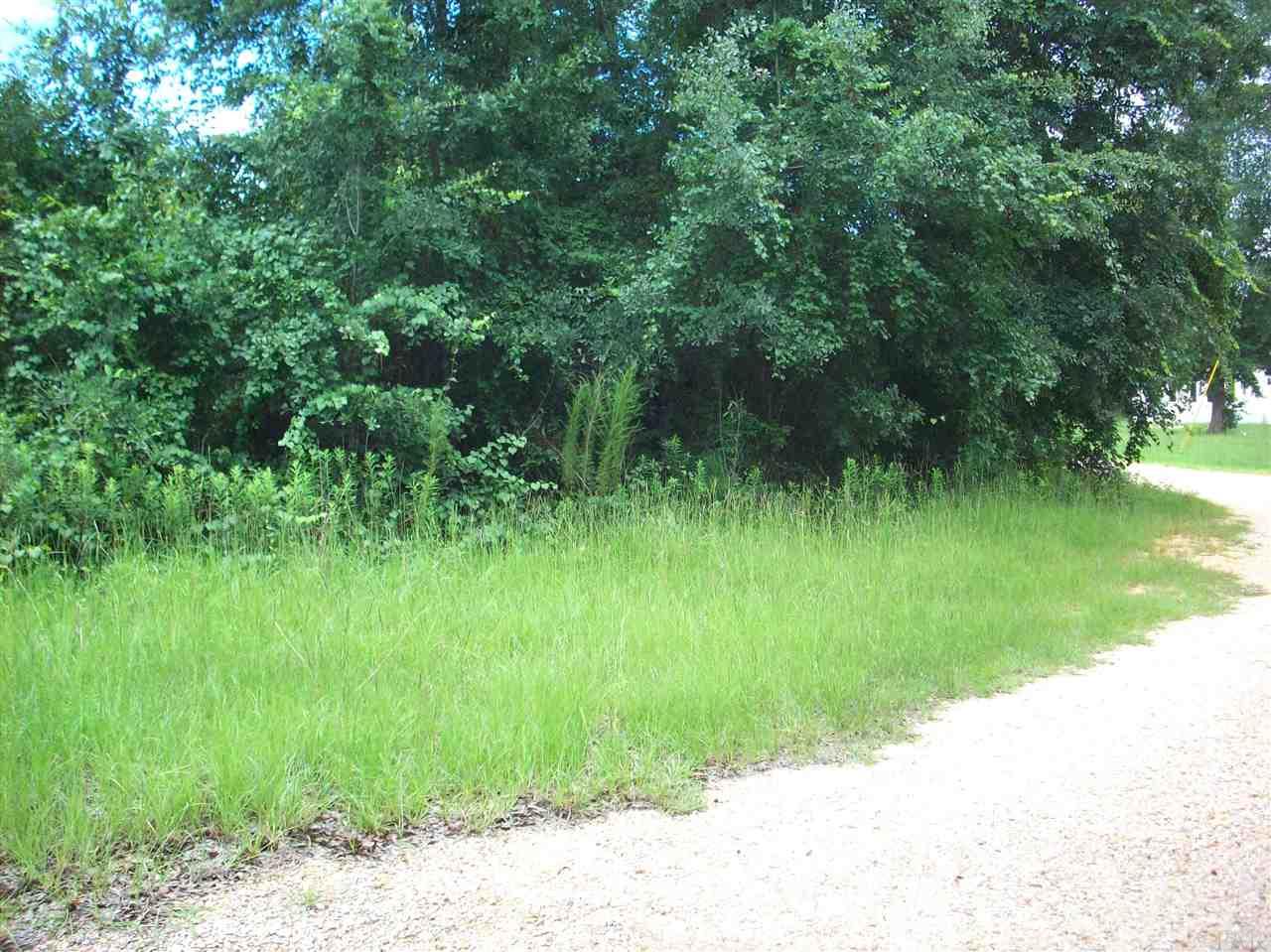 100-block 100-block Rabbits Run Atmore, AL 36502 - Photo 4 of 8