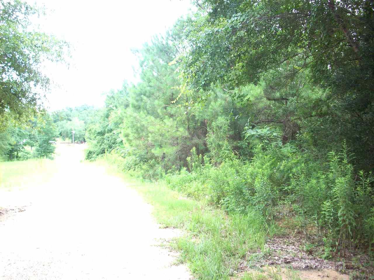 100-block 100-block Rabbits Run Atmore, AL 36502 - Photo 5 of 8