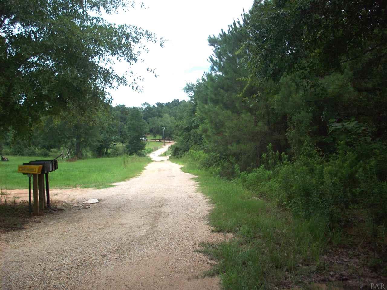 100-block 100-block Rabbits Run Atmore, AL 36502 - Photo 6 of 8