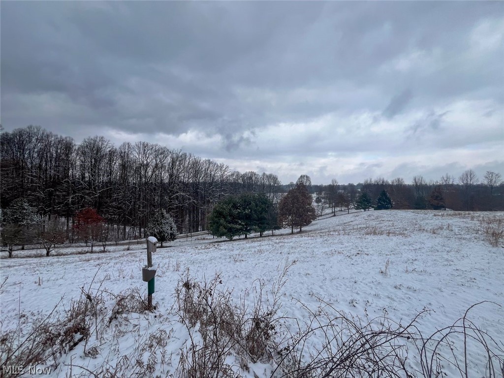 87085 Crall Road Scio, OH 43988 - Photo 15 of 30