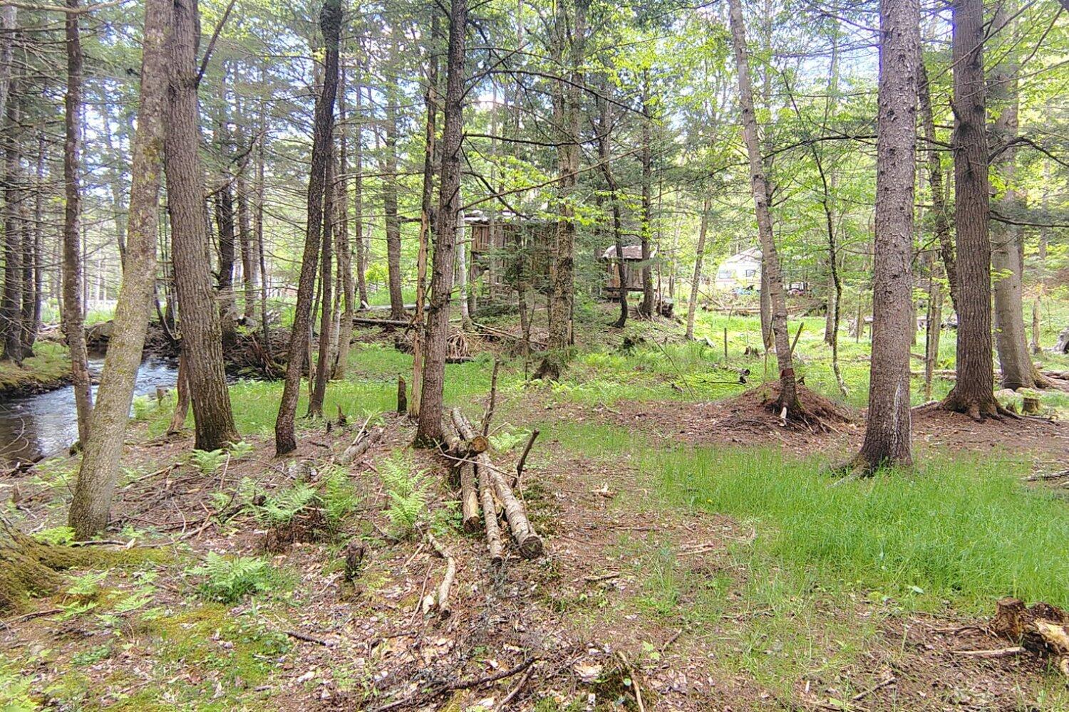 463 Clover Mill Road Farmington, ME 04938 - Photo 4 of 44 Back of house