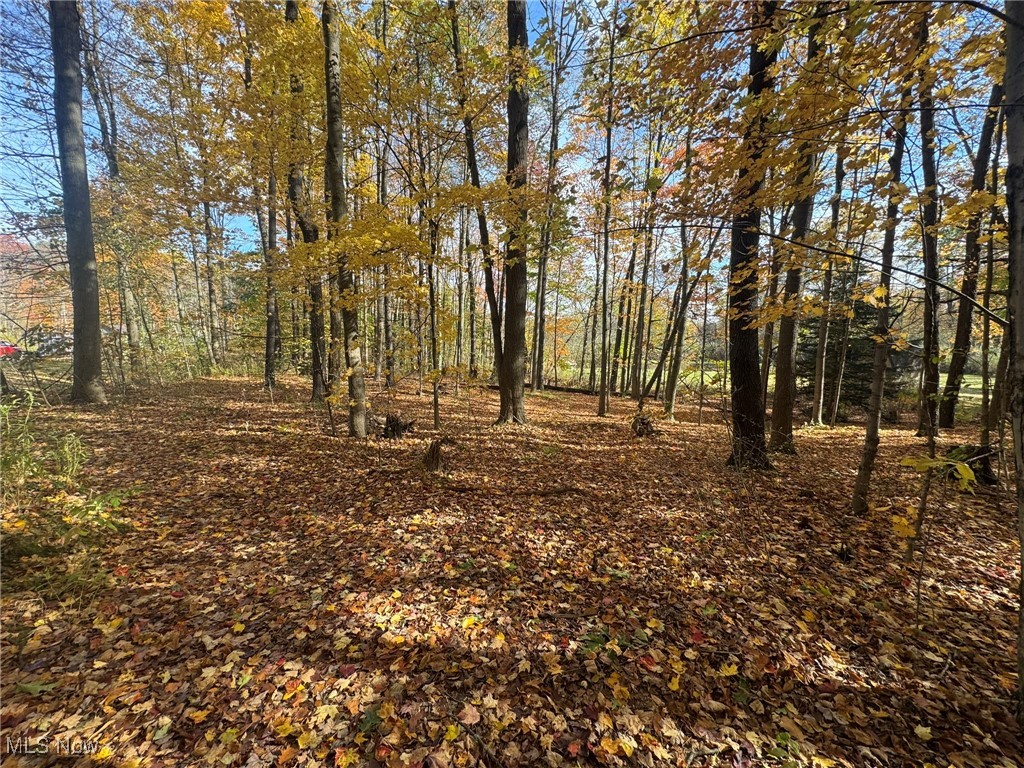 Infirmary Road Mantua, OH 44255 - Photo 2 of 13 View of tree filled area