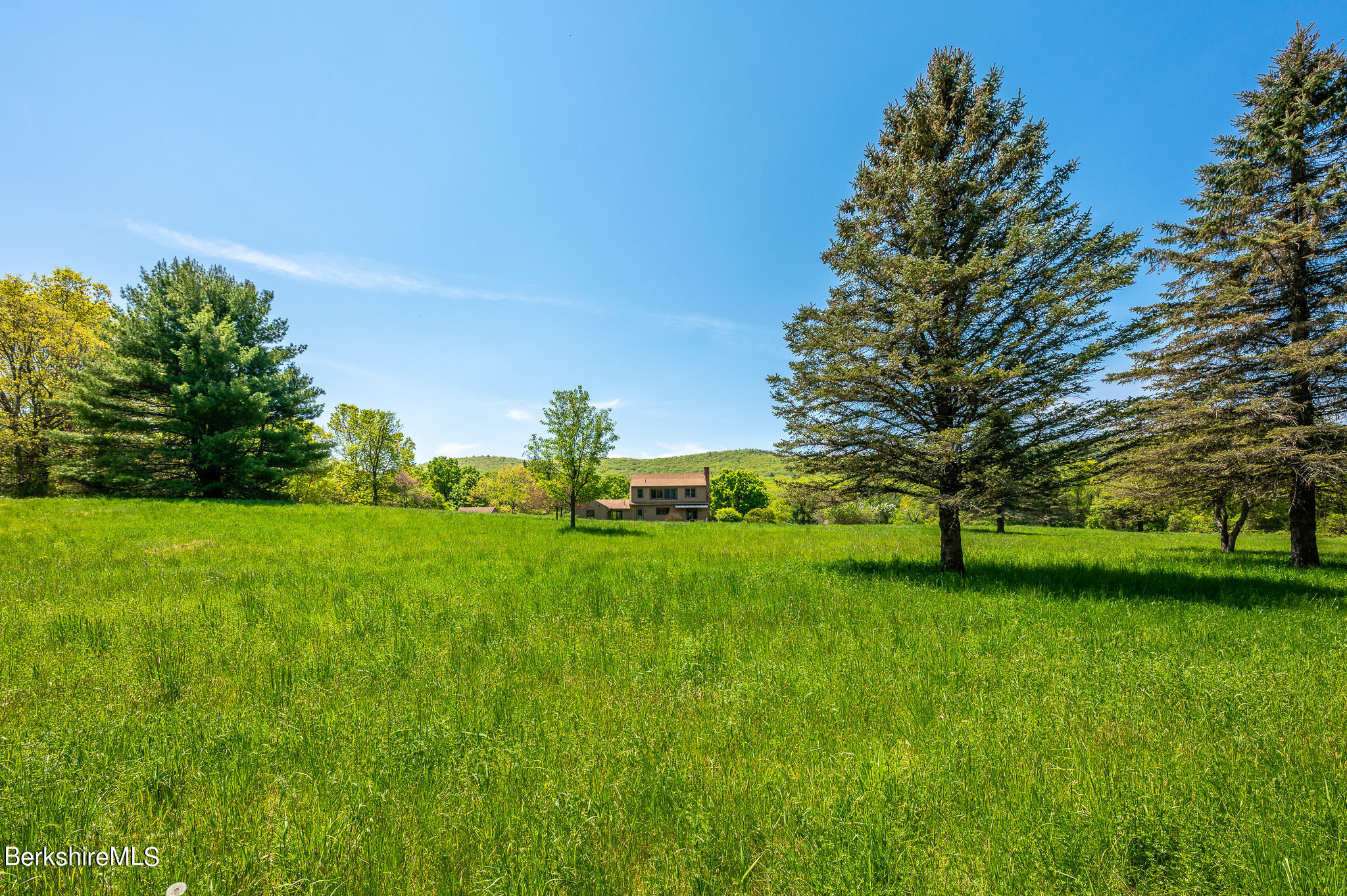 365 State Road Great Barrington, MA 01230 - Photo 28 of 34 a view of field with trees in the background