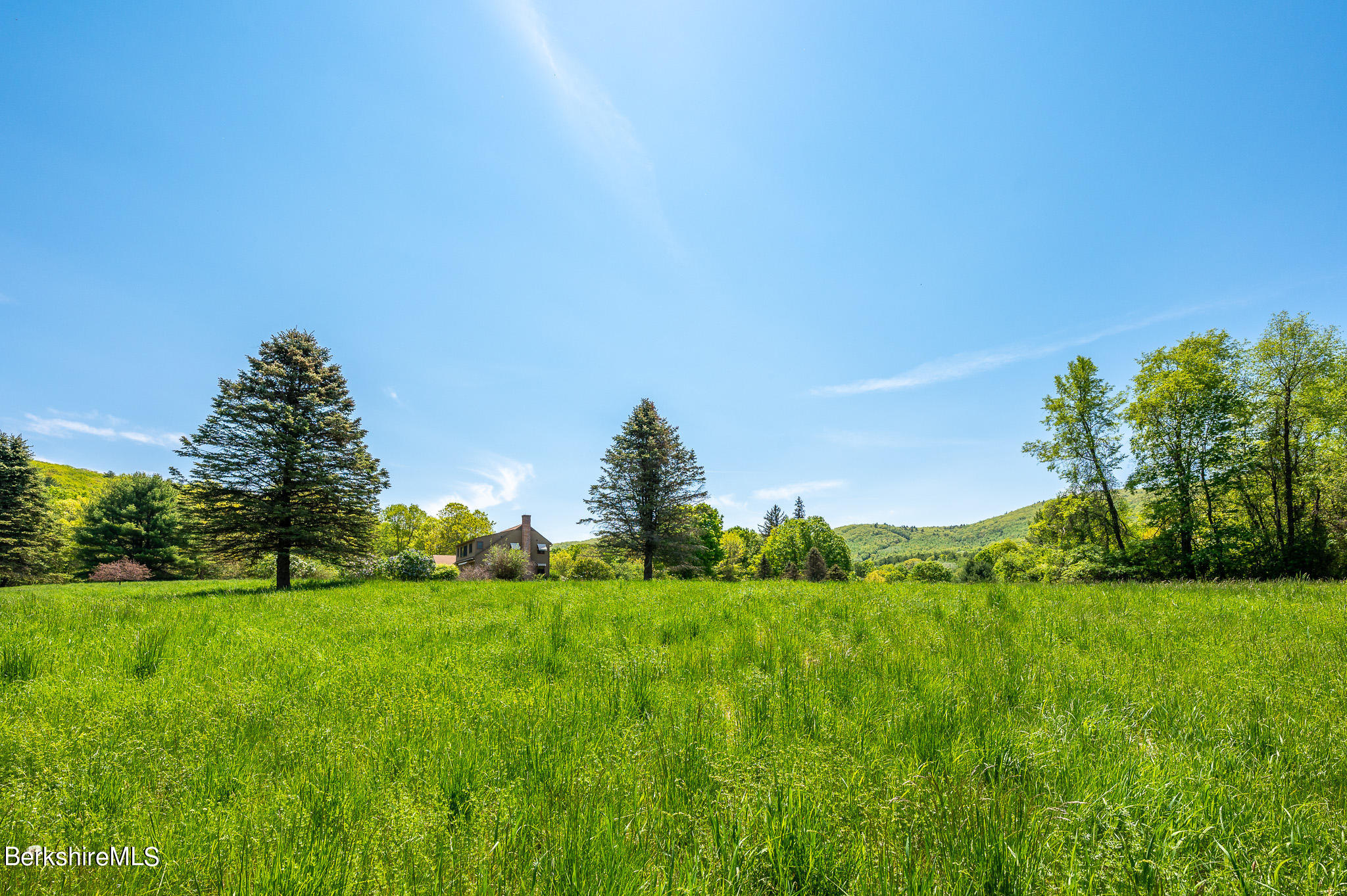 365 State Road Great Barrington, MA 01230 - Photo 29 of 34 a yard with lots of green space
