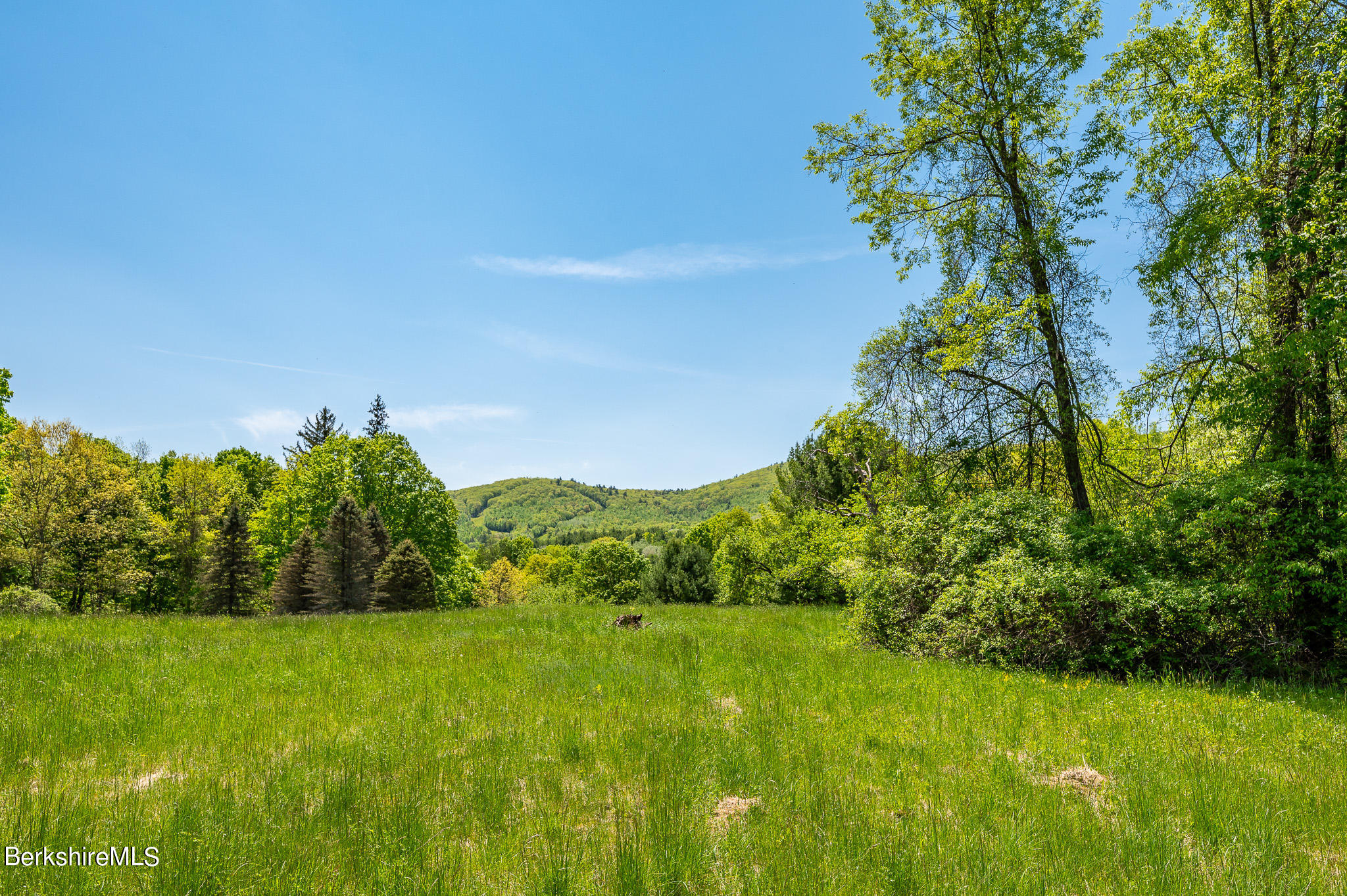 365 State Road Great Barrington, MA 01230 - Photo 30 of 34 a view of a garden