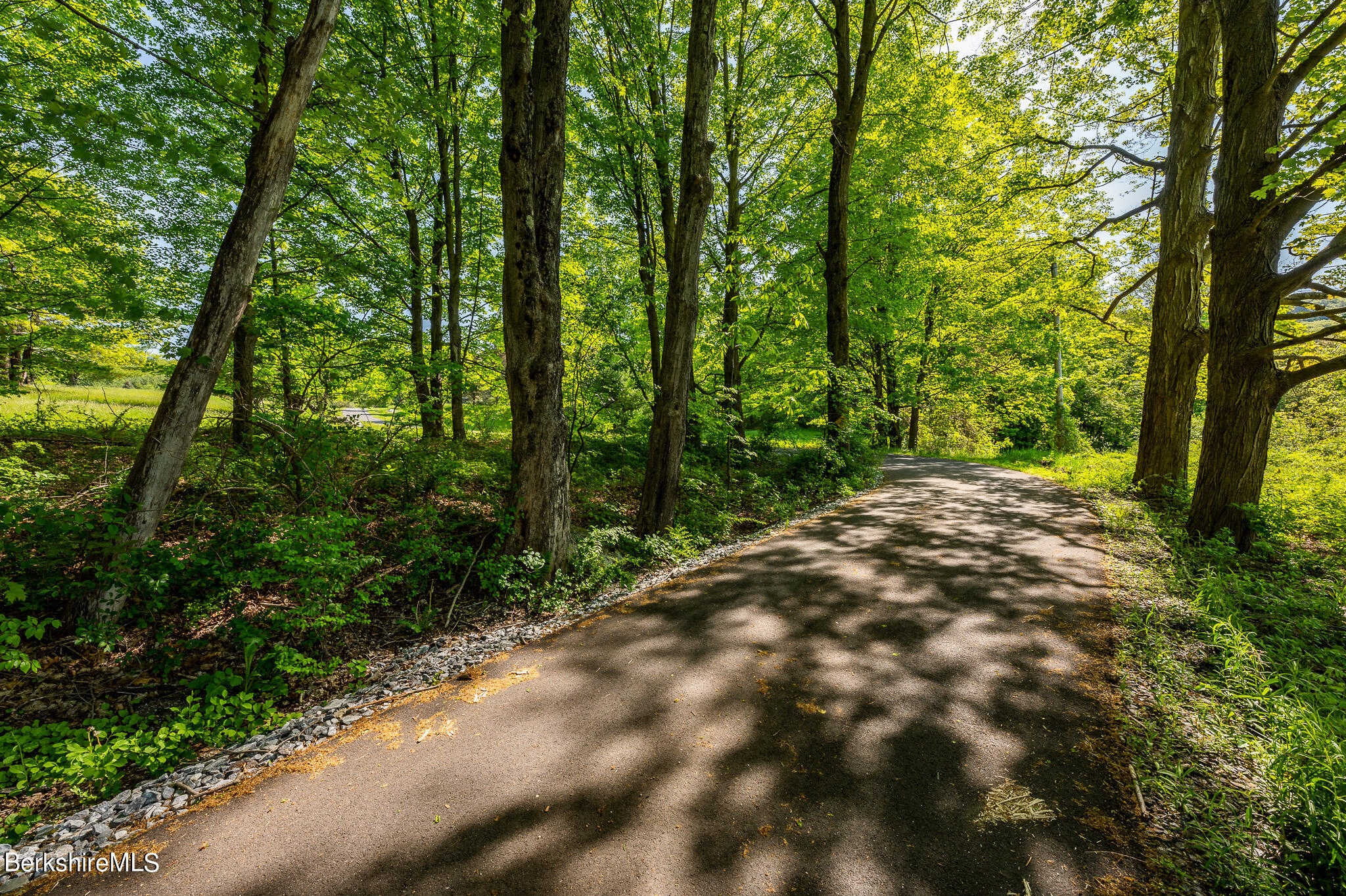 365 State Road Great Barrington, MA 01230 - Photo 4 of 34 a view of backyard with green space