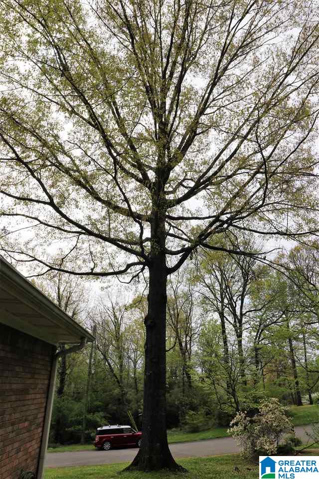 4634 Burningtree Lane Pelham, AL 35124 - Photo 29 of 30