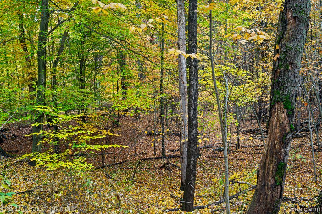 4039 Jefferson Road North Branch, MI 48461 - Photo 29 of 35