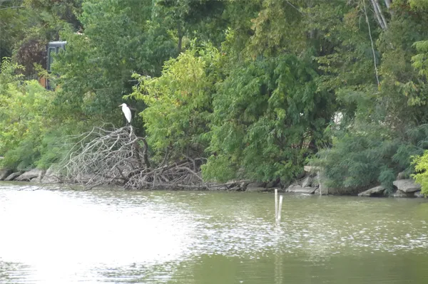 a view of swimming pool with a yard