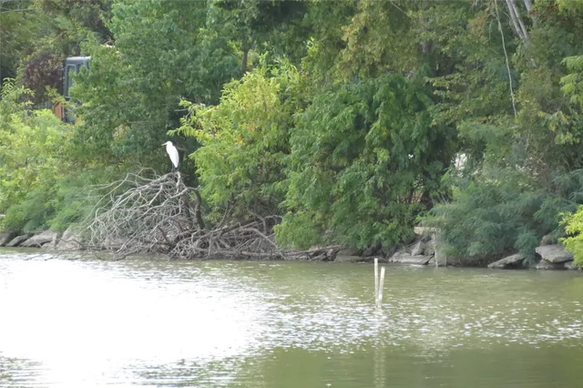 a view of swimming pool with a yard