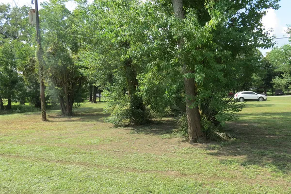 a view of a yard with a tree