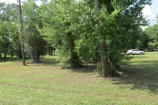 a view of a yard with a tree