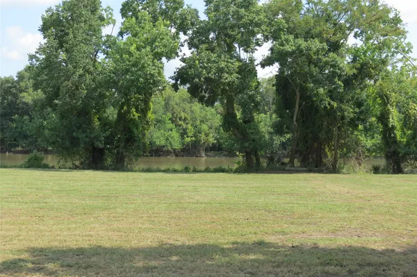 a view of a yard with a trees