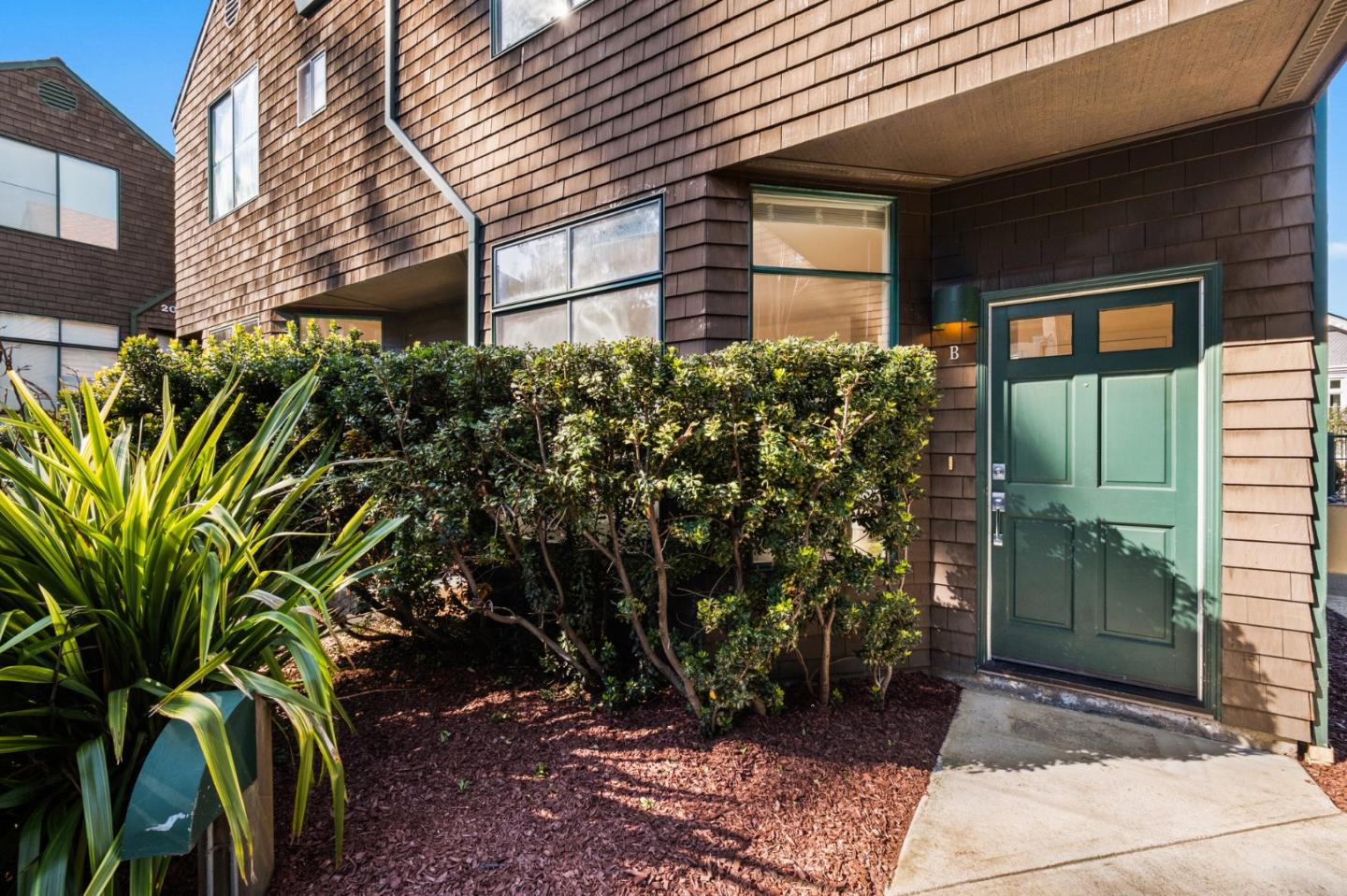 a view of a potted plants in front of a house