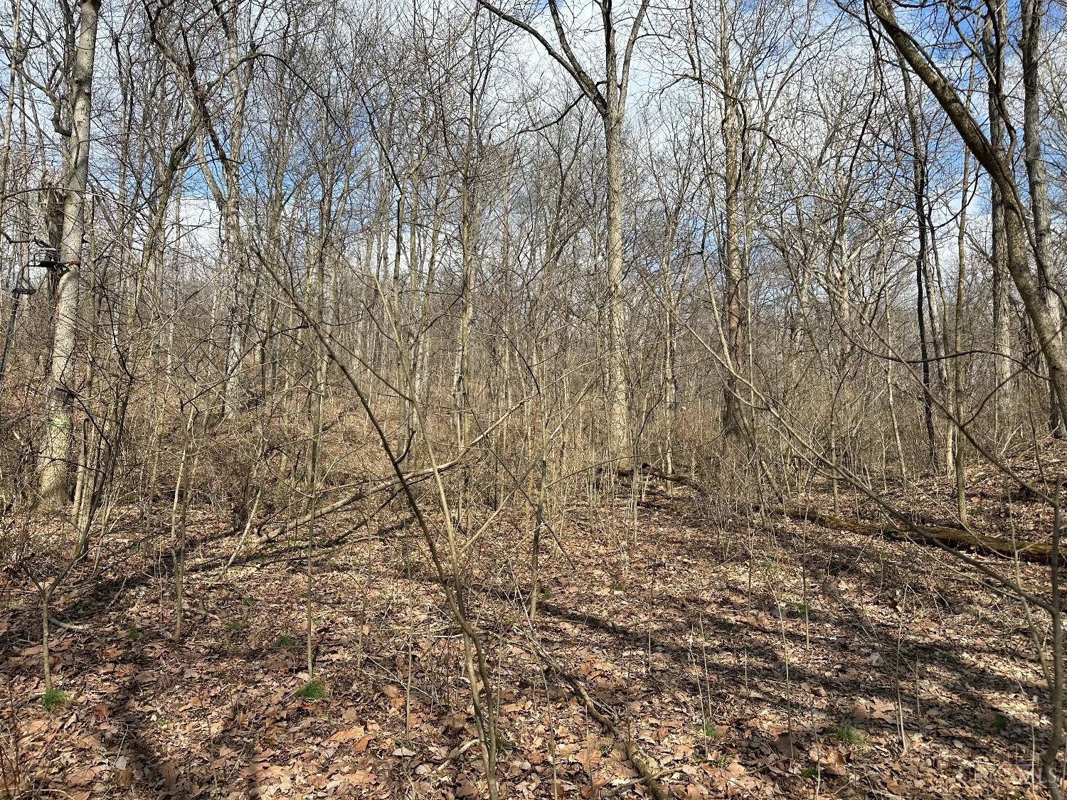 0 Wilson Road Winchester, OH 45697 - Photo 63 of 69