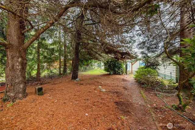 a view of road with large trees