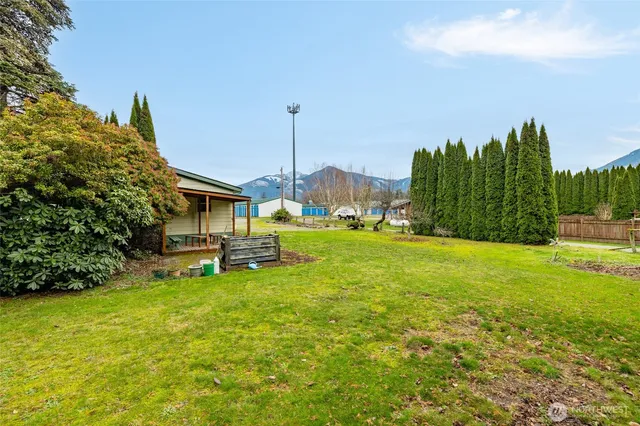 a view of a garden with trees