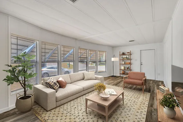a living room with furniture and a potted plant