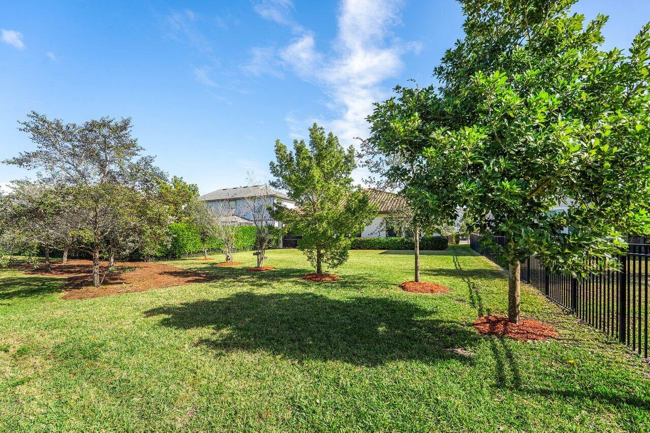 1119 Arrowhead Point Road Loxahatchee, FL 33470 - Photo 53 of 106 lush trees