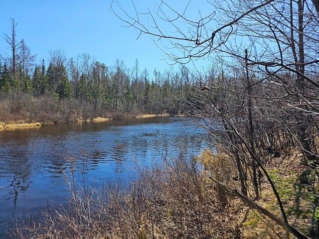 Lot 10 Weber Lake Road Mercer, WI 54547 - Photo 1 of 16 Gallery Image 1