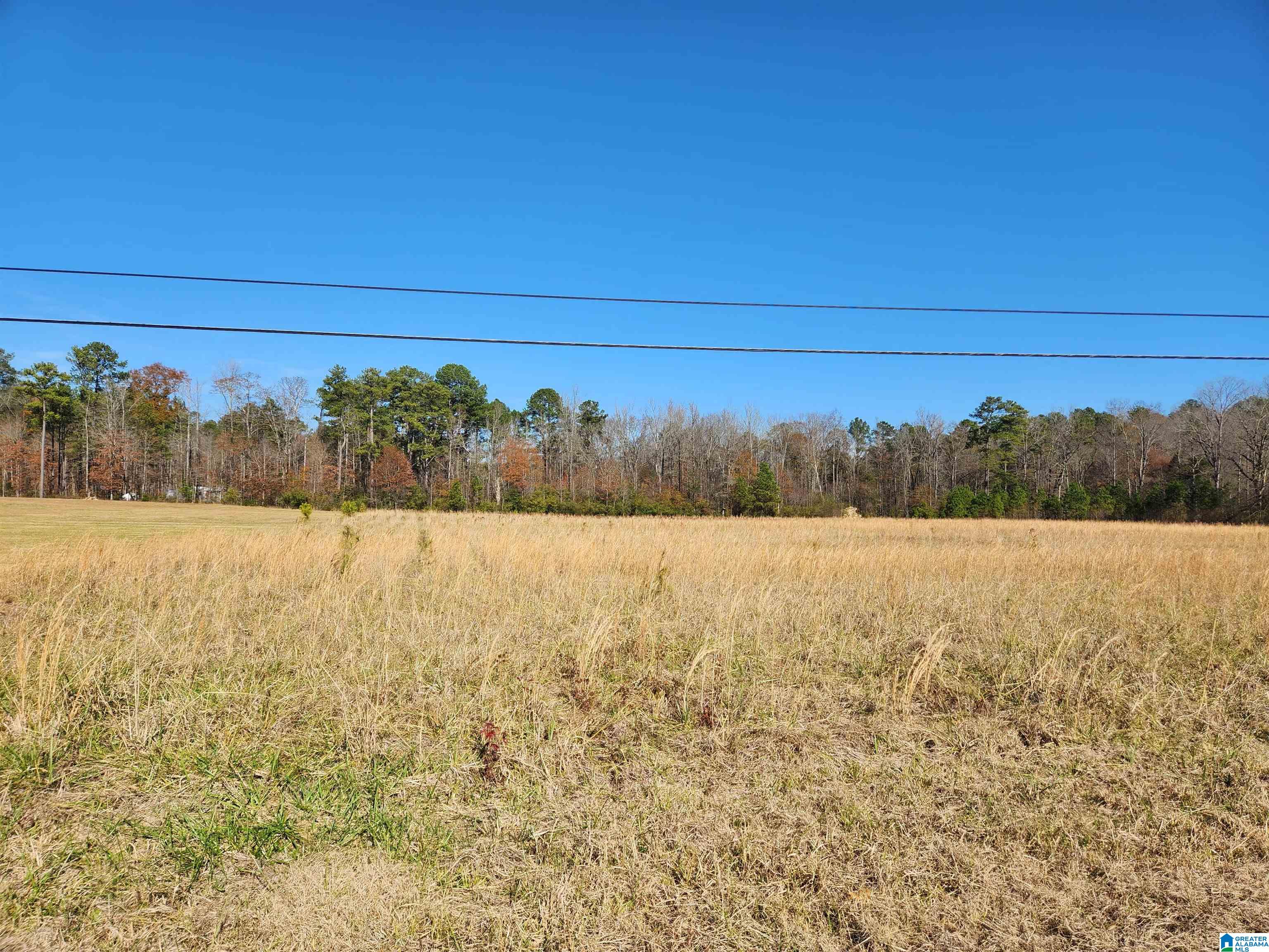 440 Fox Valley Farms Road, Unit 4 Alabaster, AL 35114 - Photo 7 of 12