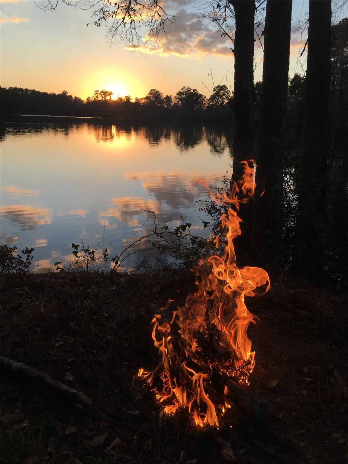 63 Smith Loop South Cleveland, TX 77327 - Photo 14 of 23 a view of lake