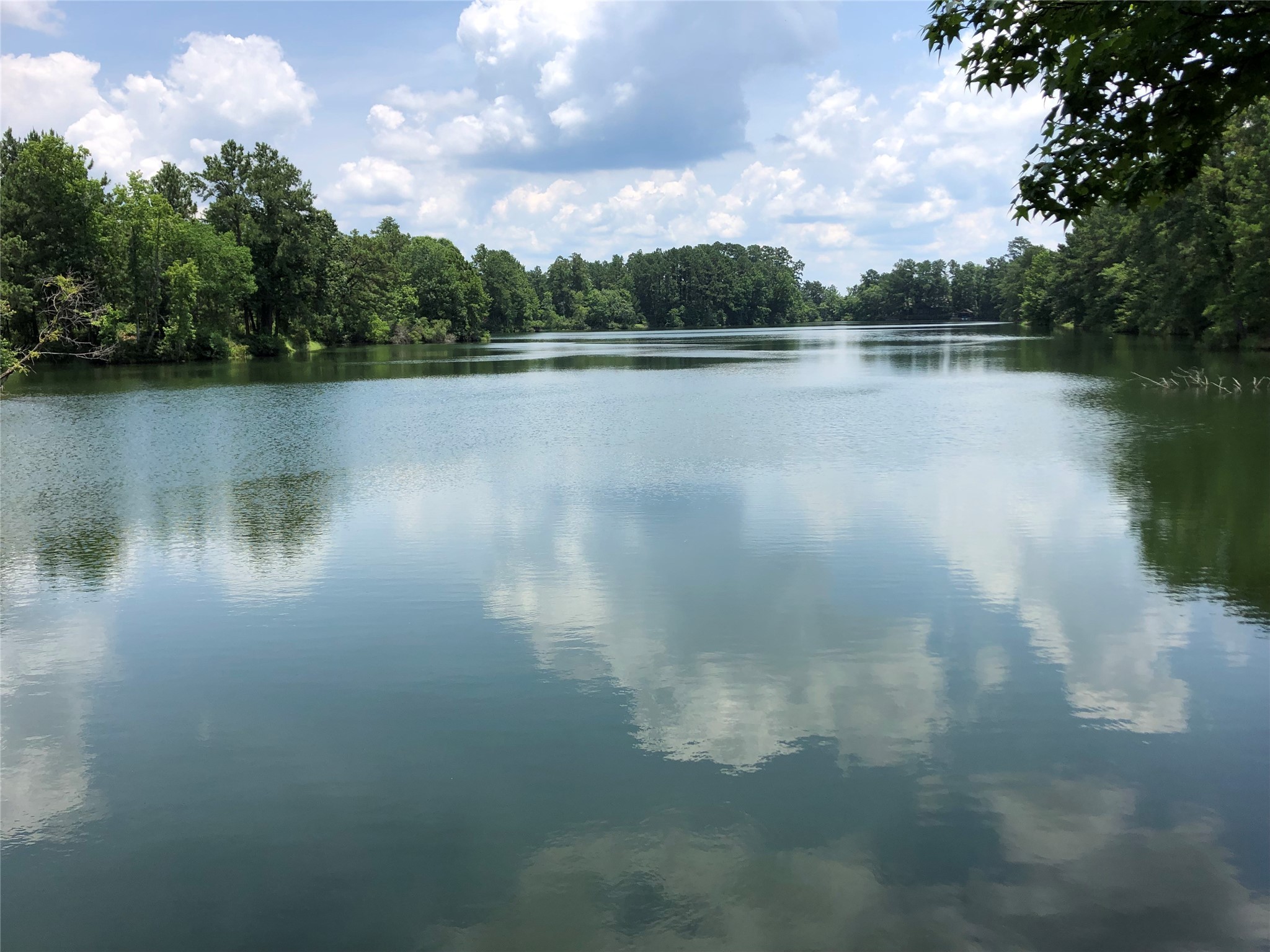 63 Smith Loop South Cleveland, TX 77327 - Photo 17 of 23