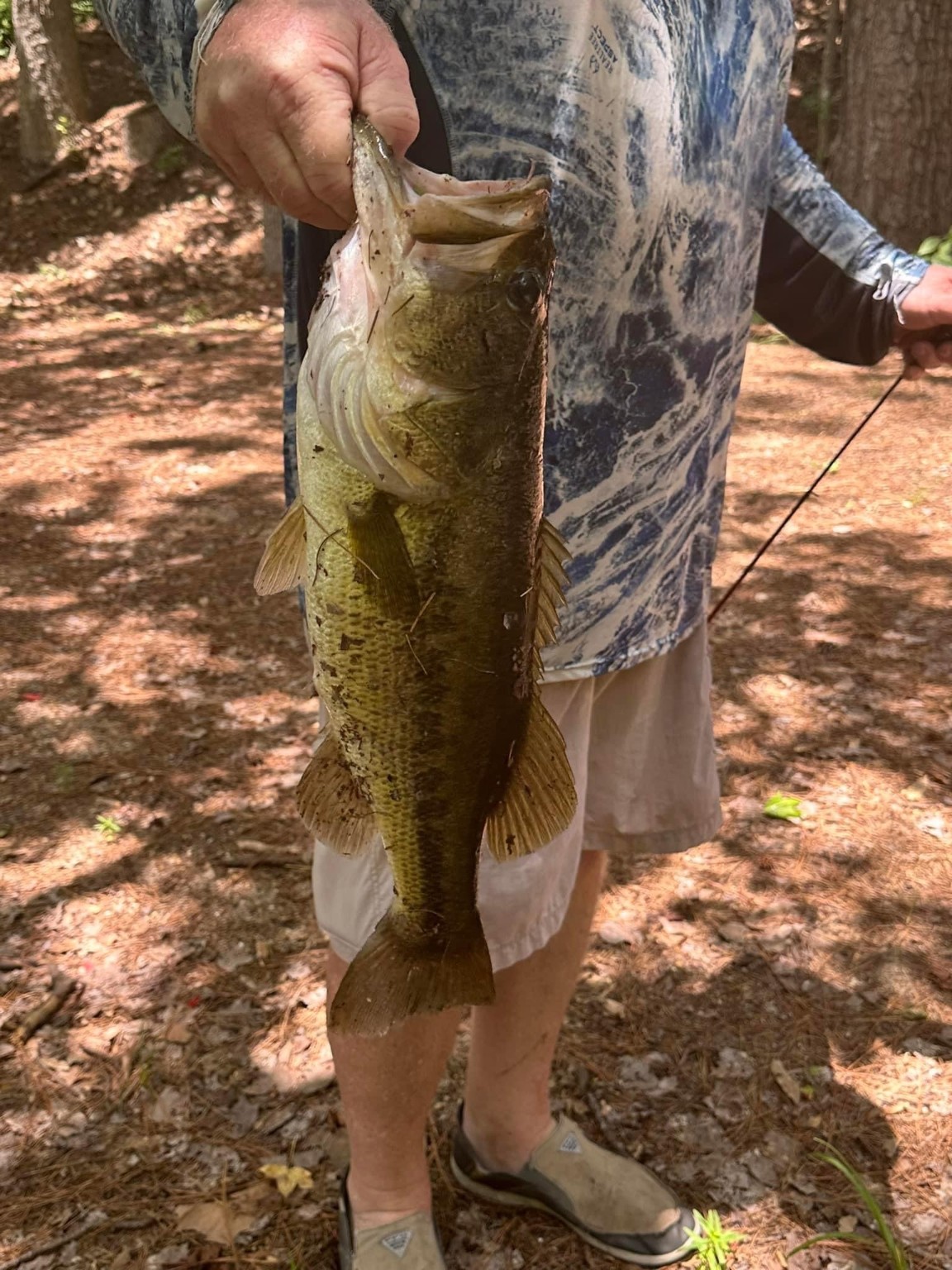 63 Smith Loop South Cleveland, TX 77327 - Photo 8 of 23 a vase of flowers sitting on a table