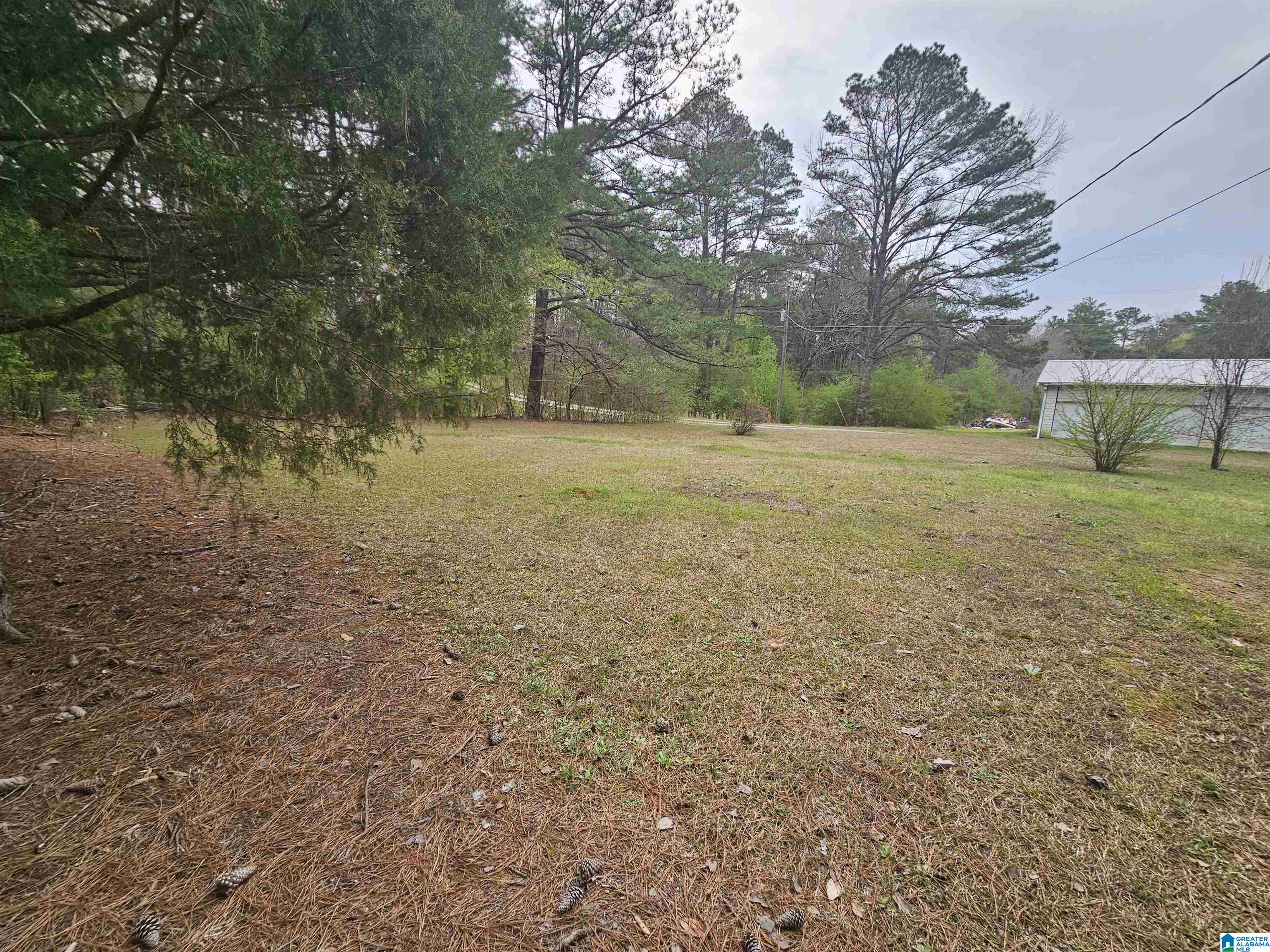 2176 Old Hayden Road Warrior, AL 35180 - Photo 24 of 25