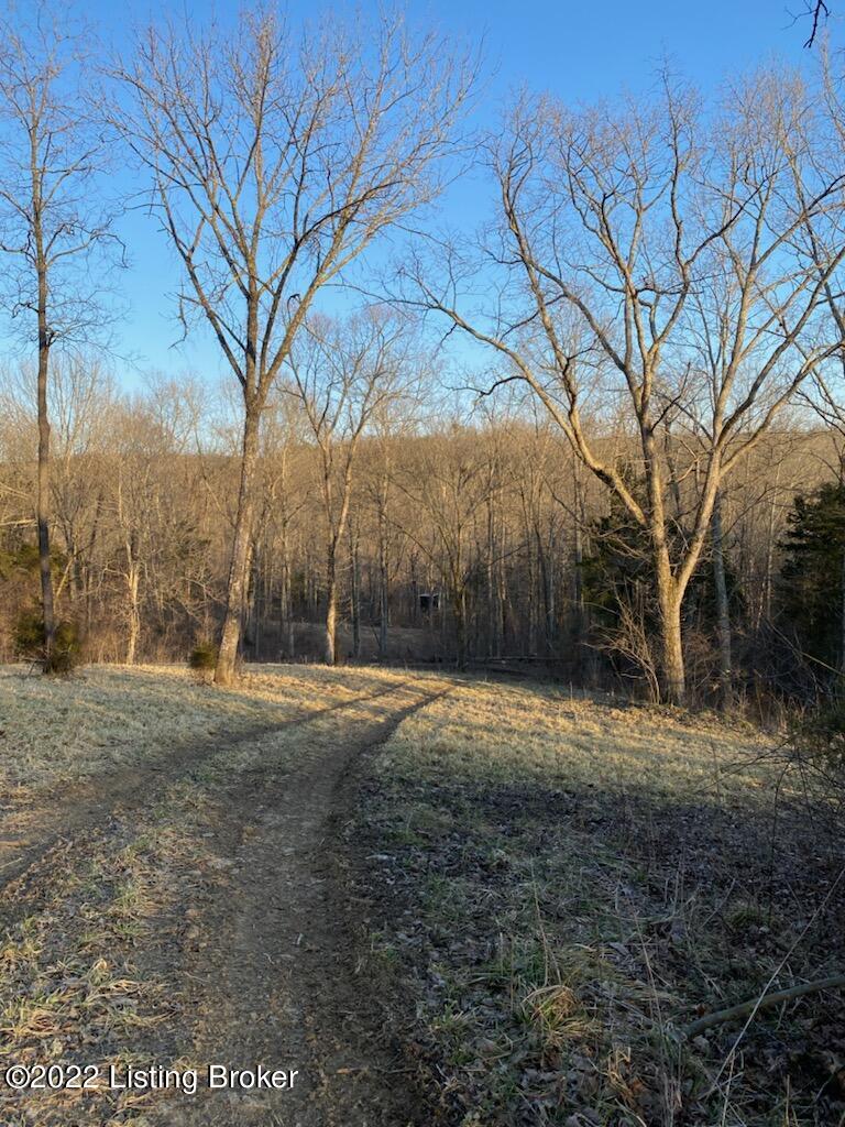 4 Hall Simpson Road Loretto, KY 40037 - Photo 13 of 19 IMG_5333