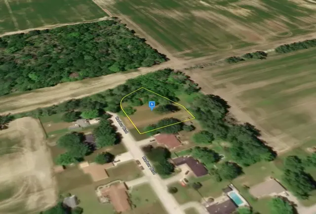 a picture of flowers