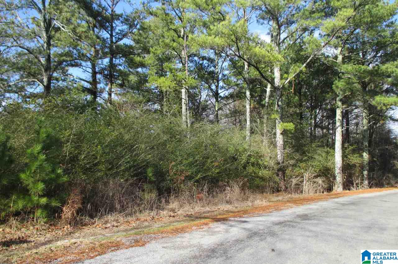 0 Washburn Drive Oneonta, AL 35121 - Photo 8 of 8