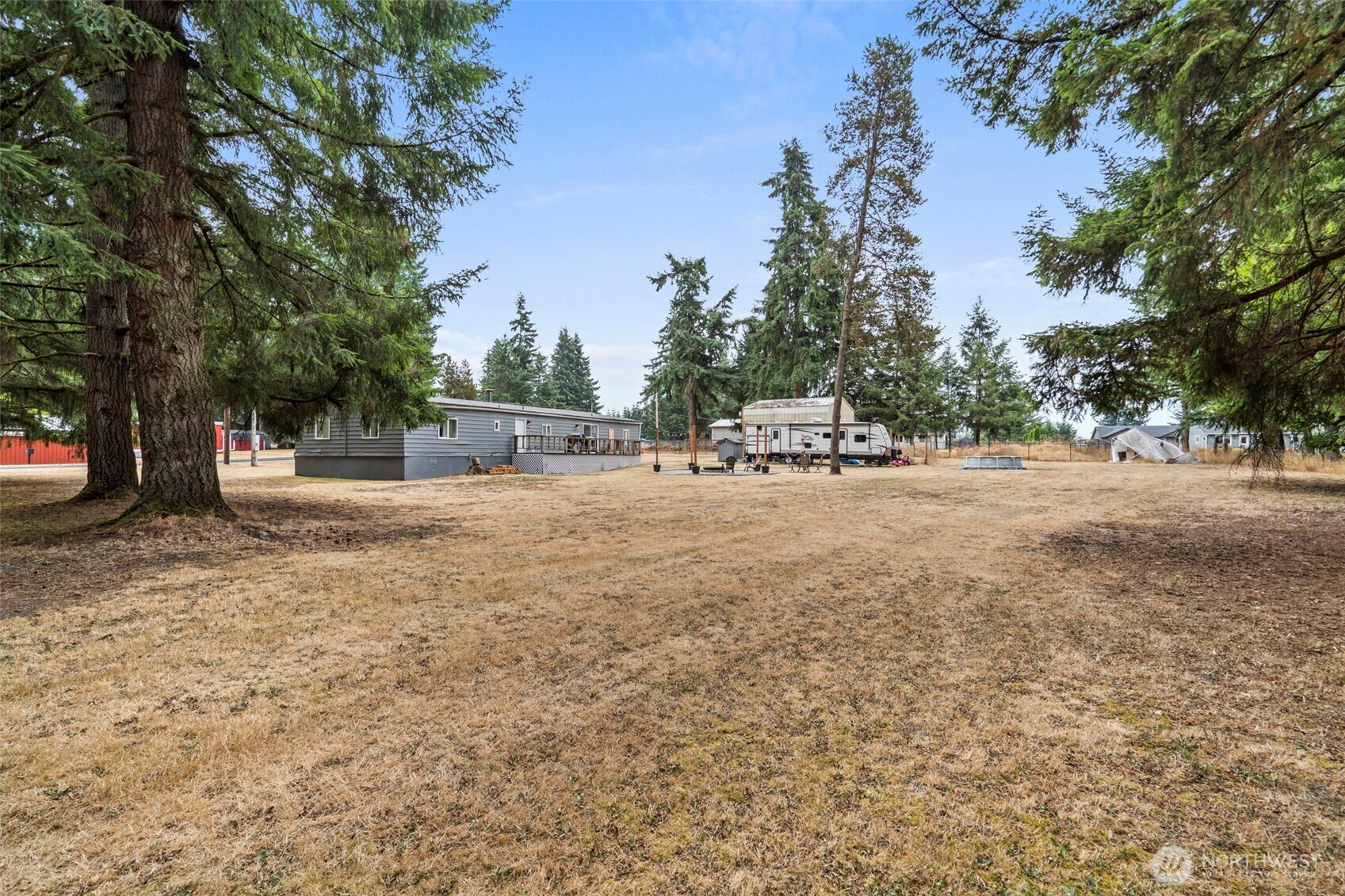 19121 Elderberry Street Southwest Rochester, WA 98579 - Photo 4 of 34 a row of trees with large trees