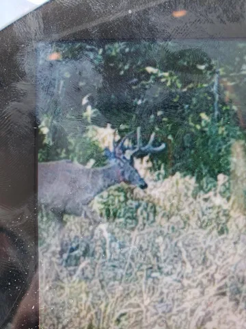 $224,900 | 6509 Old 11 Road, South Range, WI 54874