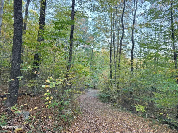 a close up of a green field