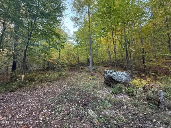 a view of a backyard with trees