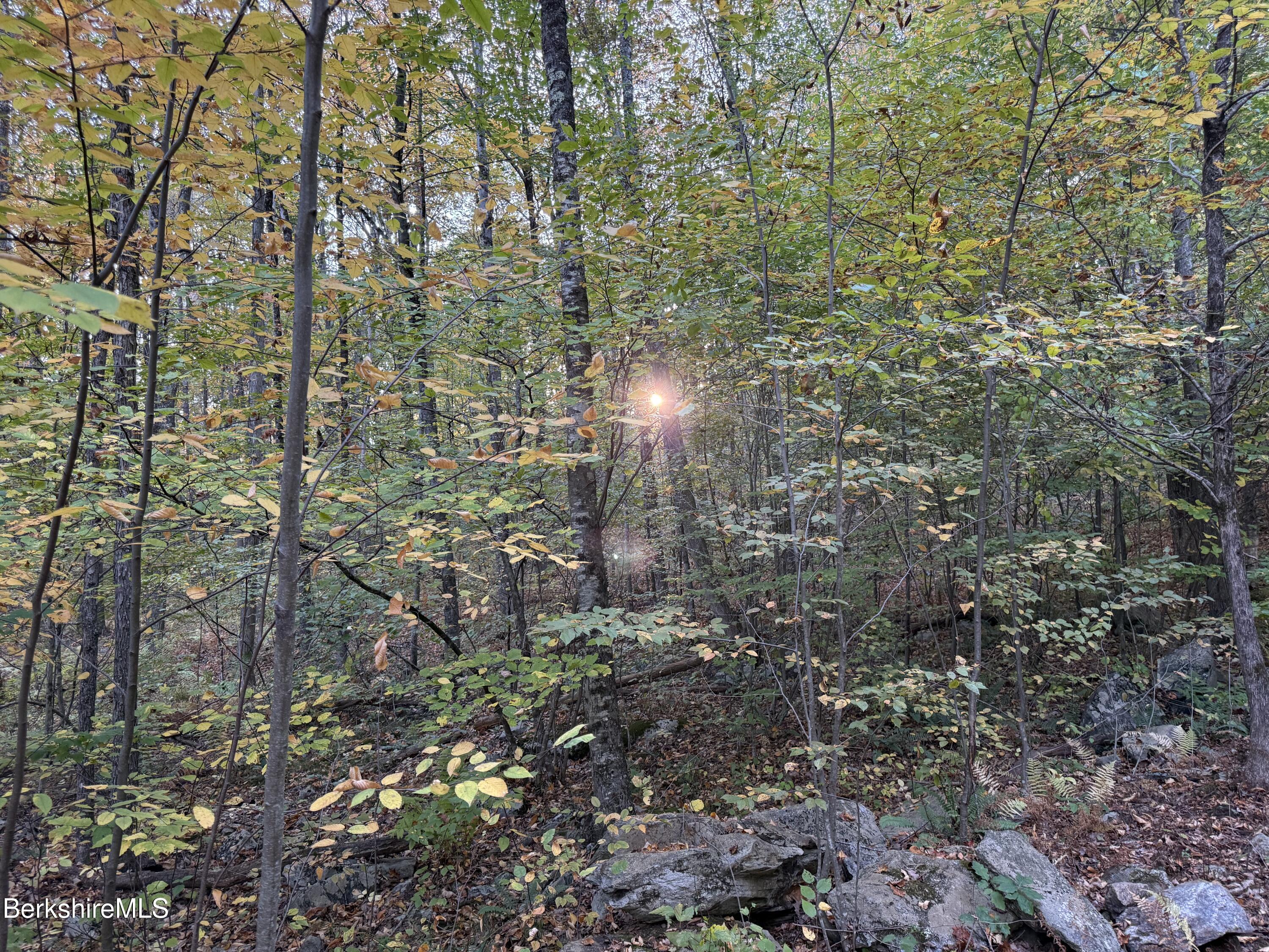 0 Hayes Hill Road Mill River, MA 01244 - Photo 5 of 7 a view of a pathway