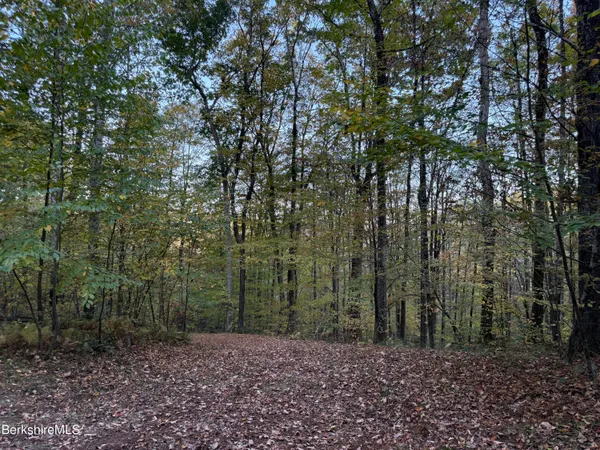 a big yard with lots of green space