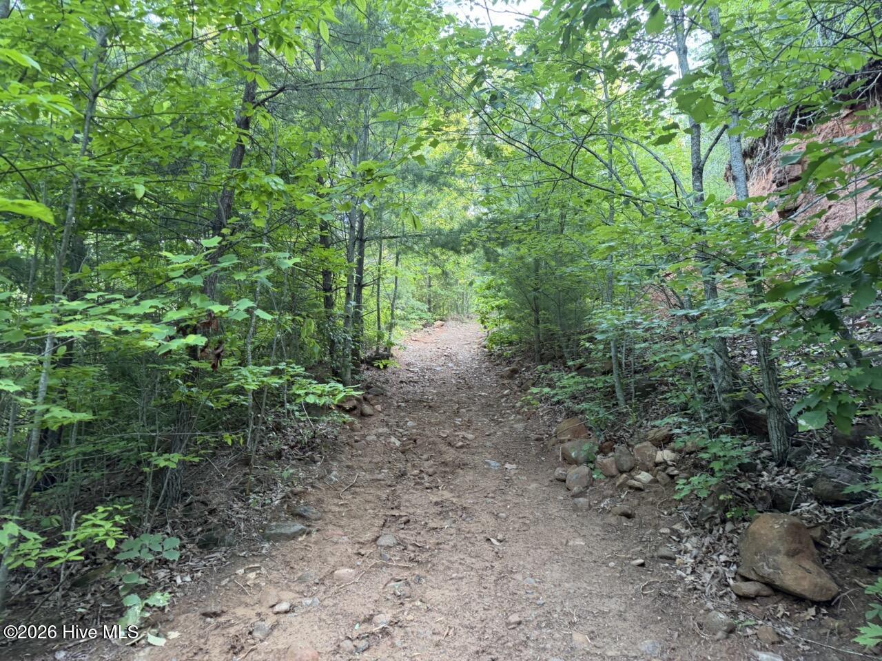 0 Ogreeta Road Murphy, NC 28906 - Photo 37 of 47