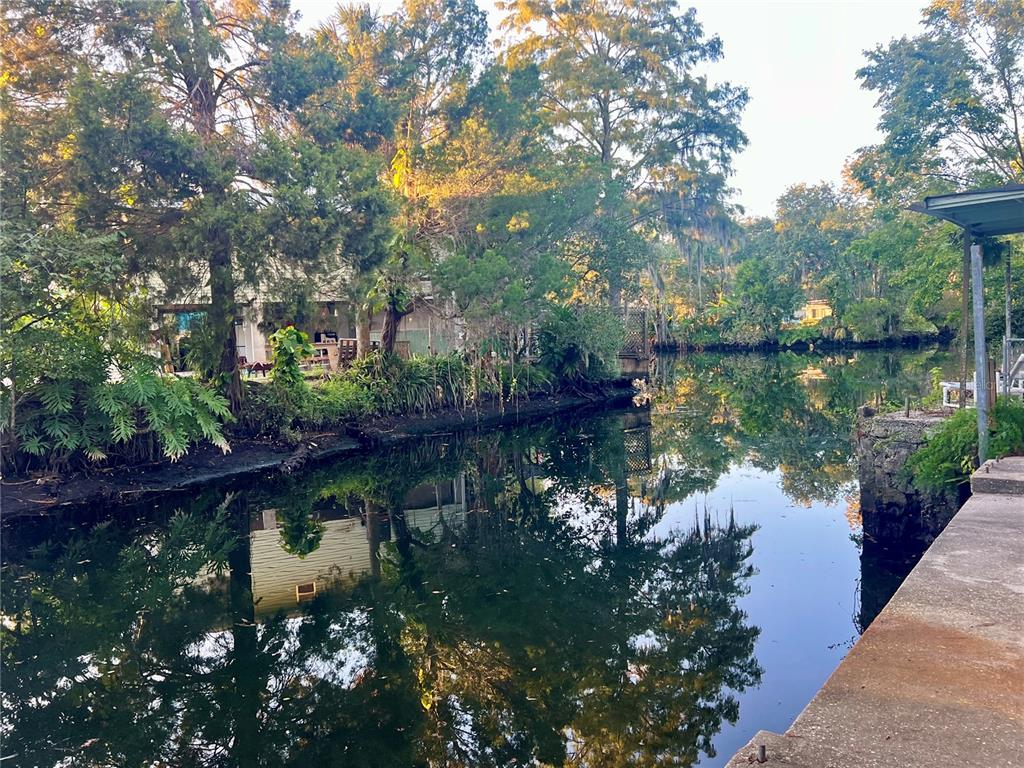7165 Algonquin Street Weeki Wachee, FL 34607 - Photo 3 of 7 a body of water with a tree in the background