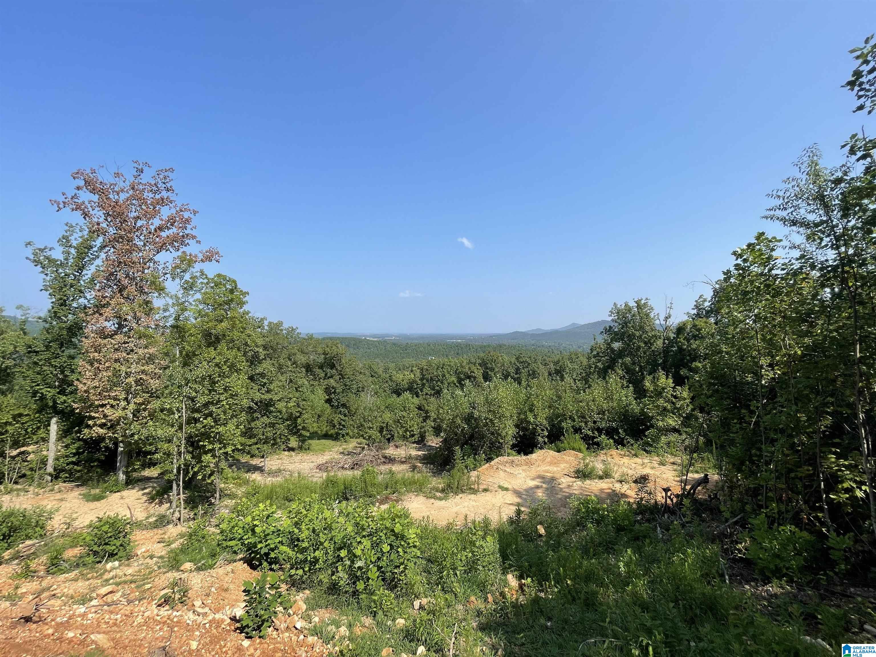 0 Benefield Gap Road Piedmont, AL 36272 - Photo 5 of 24