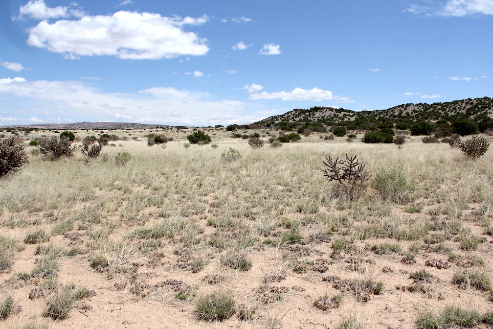 11.5 Pinon Road Abiquiu, NM 87510 - Photo 7 of 12